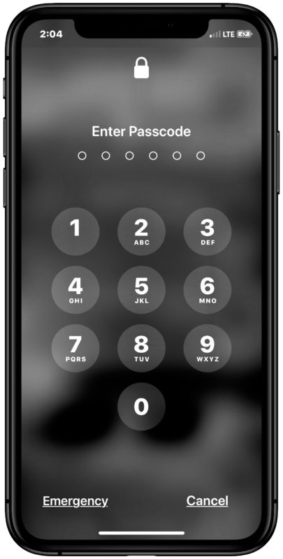 The passcode lock screen on iPhone or iPad