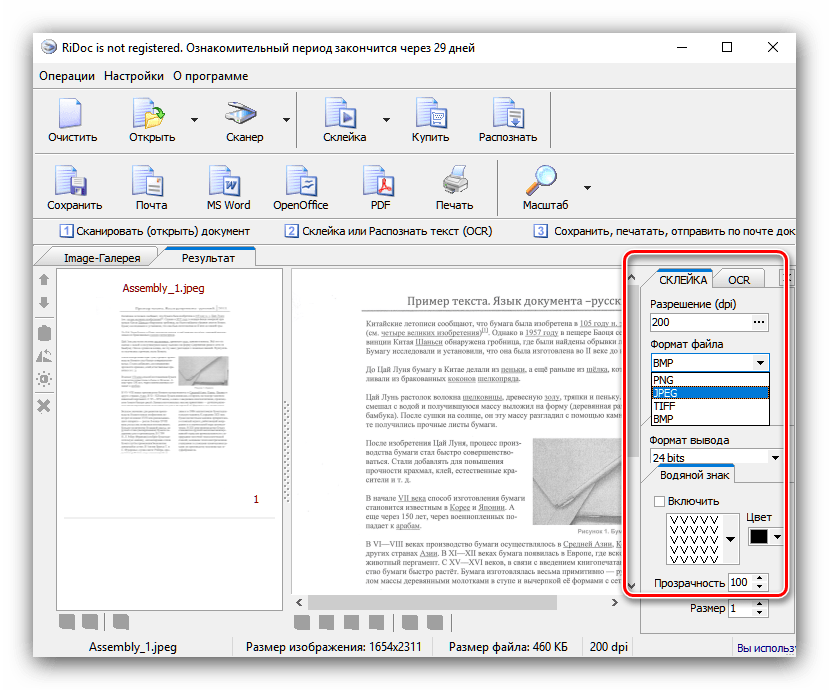 Опции склейки документа для оцифровки текста в RiDoc