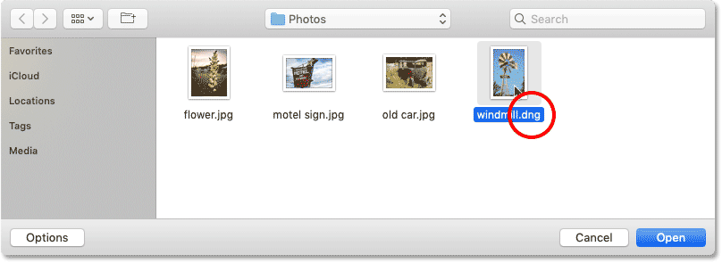 Selecting a raw file to open in Photoshop.