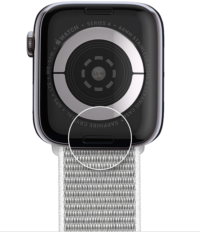 The band release button on the back of your Apple Watch.