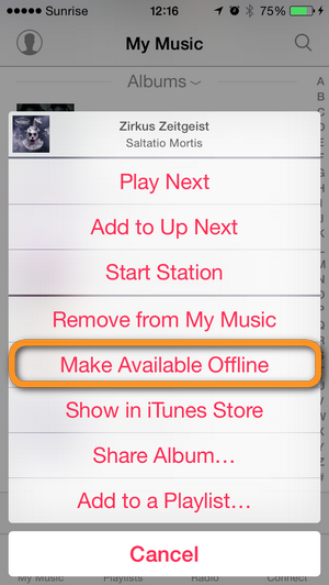 make purchased song available offline on iphone