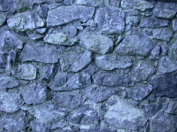 Маленькая текстура стены из синего камня